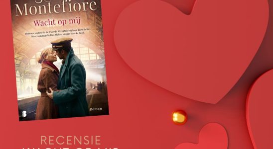 Home - Meer lezen
